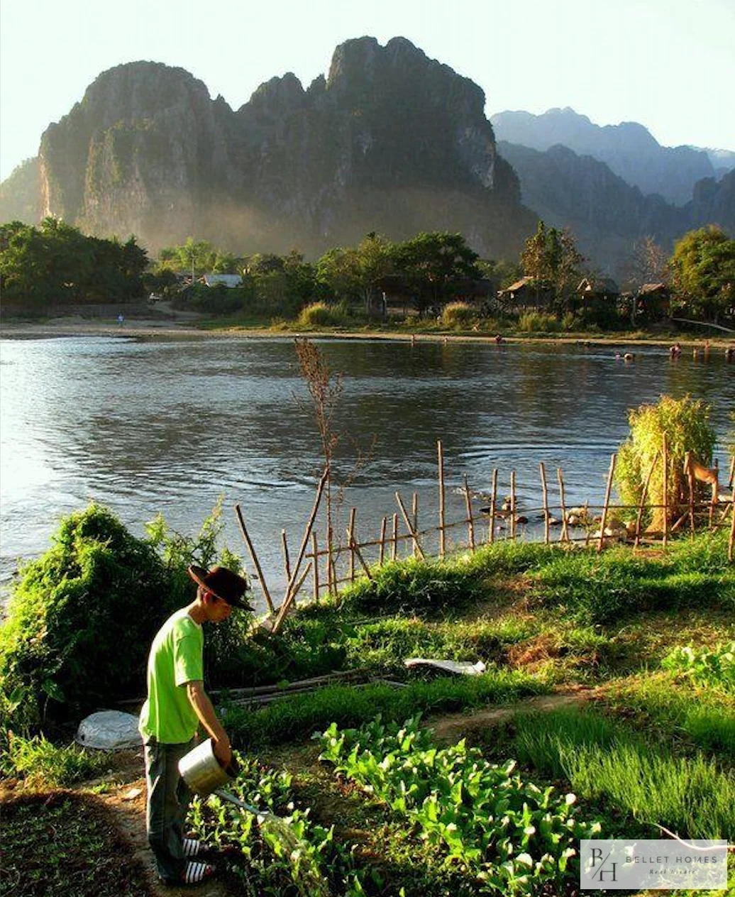 Vườn & Cảnh quan